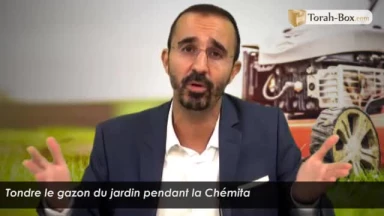 Tondre le gazon du jardin pendant la Chémita