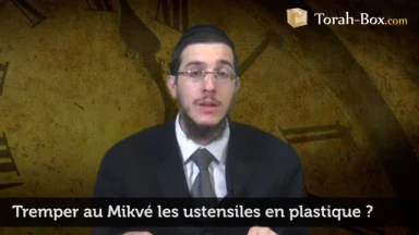 Tremper au Mikvé les ustensiles en plastique ?