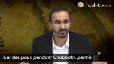Tuer des poux pendant Chabbath, permis ?
