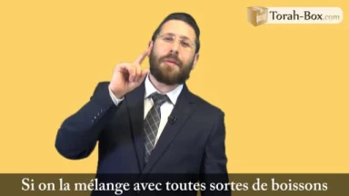 'Hizouk du Jour - Le peuple juif et l’huile d’olive