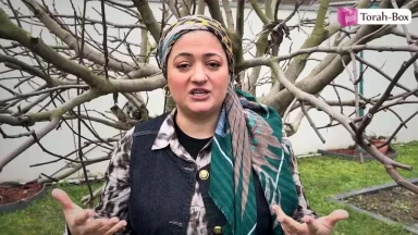 Tou Bichvat : Quand l'échec prépare la réussite !