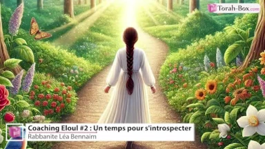 Coaching Eloul #2 : un temps pour s'introspecter