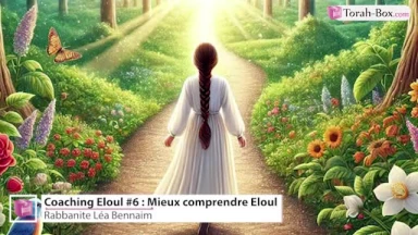 Coaching Eloul #6 : Mieux comprendre Eloul