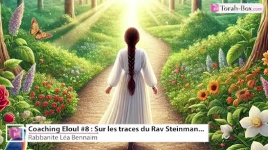 Coaching Eloul #8 : Sur les traces du Rav Steinman...