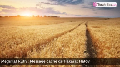 Méguilat Ruth : Message caché de Hakarat Hatov