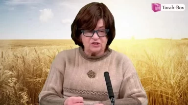 Introduction au compte de l'Omer