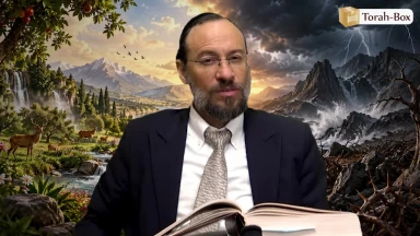 Béréchit : Le monde créé pour nous ou contre nous ?