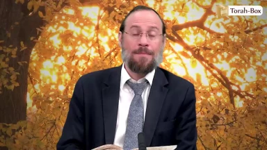 Vaéra - Le message du buisson... répété ?