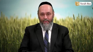 Chavou’ot : L'assiduité et l'effort dans la Torah