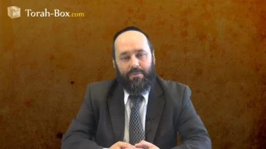 Chemita : l'interdit rabbinique "Sfikhine"