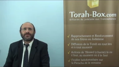 Hochaana Rabba, un éclat particulier parmi les fêtes juives