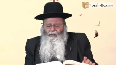 Emor : L’étude de la Torah nous propulse devant Hachem