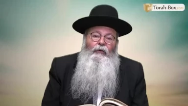 Haftara Réé : Aimez la Torah !