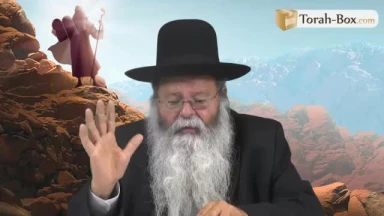 Ki-Tavo : fallait-il vraiment casser la Torah ?