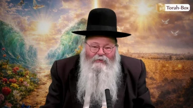 Nissan : le mois des miracles !