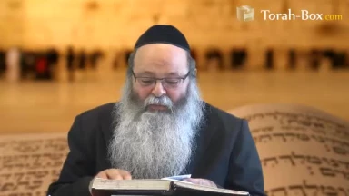 Nitsavim : la Torah est tellement proche de nous