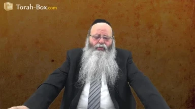 3 jeunes capturés - L'impact de l'unité !