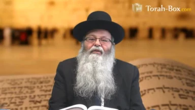 Tsav - La Torah avec envie, car c'est ma vie