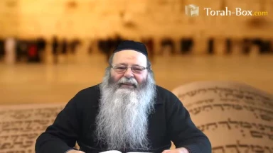 Yitro : la Torah guérit de tous les maux