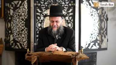 Savoir dire OUI quand tout le monde dit NON