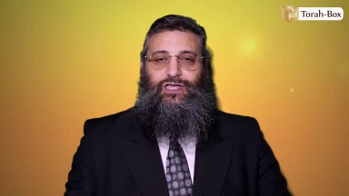 Cet été, ne décroche pas de la Torah
