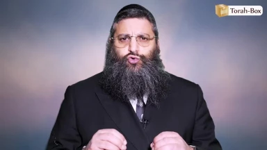 Goûtez au monde futur, aujourd'hui