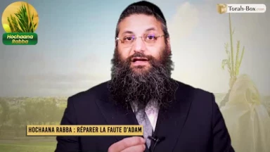 Hocha'ana Rabba : Réparer la Faute d'Adam