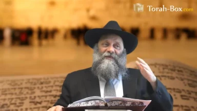 Histoire [années 132 à 140] : Rabbi Akiva avec Bar Kokhba