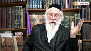 Sciences et Torah : Une source, deux lumières