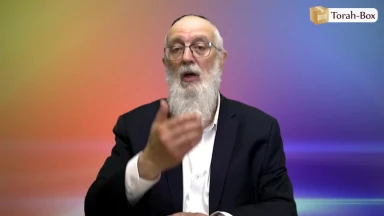 Nasso - Vive les émotions positives