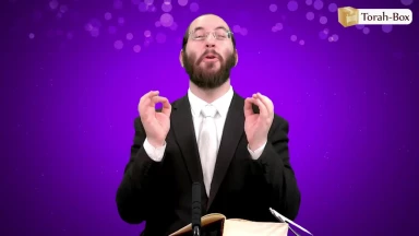 Béréchit - La beauté du renouveau