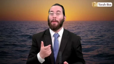 Le calme qui change une vie