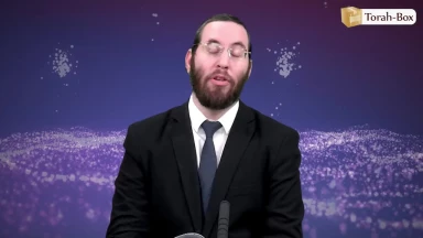 Tsav - Un petit peu, c'est tellement beaucoup