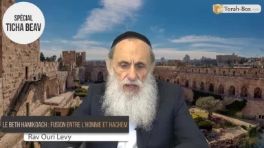 Le Beth Hamikdach : fusion entre l'homme et Hachem 