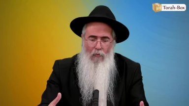 Eloul : le Roi est dans les champs