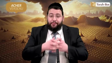 Zodiaque & Tribus d'Israël : Acher, la constellation du verseau