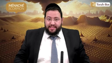 Zodiaque & Tribus d'Israël : Ménaché, la constellation du Scorpion 