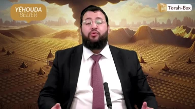 Zodiaque & Tribus d'Israël - Yéhouda, la constellation du bélier