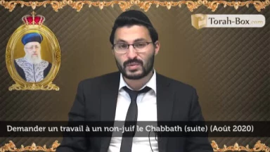 Demander un travail à un non-juif le Chabbath (2)