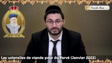 Les ustensiles de viande pour du Parvé