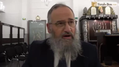 Lèkh Lékha - Pourquoi les Juifs sont si spéciaux ?