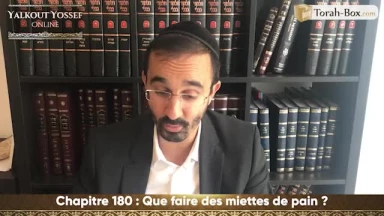 Que faire des miettes de pain