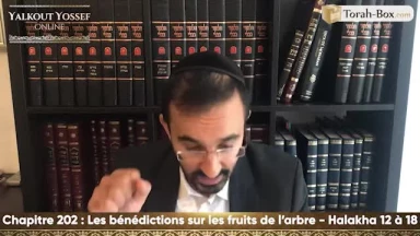 Les bénédictions sur les fruits de l'arbre (Halakha 12 à 18)