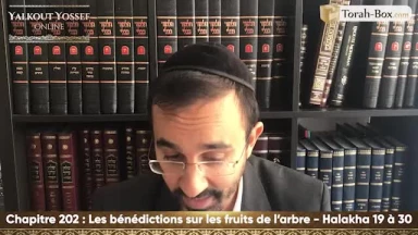 Les bénédictions sur les fruits de l'arbre (Halakha 19 à 30)