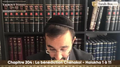 La bénédiction Chéhakol (Halakha 1 à 11)