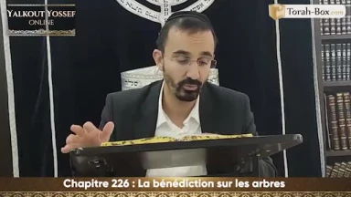 La bénédiction sur les arbres