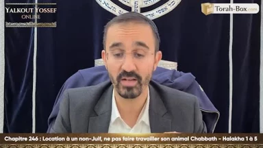 Location à un non-juif & Ne pas faire travailler son animal Chabbath (Halakha 1 à 5)