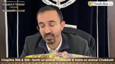Sortir un animal Chabbath & Traire un animal Chabbath