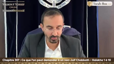Ce que l'on peut demander à un non-juif Chabbath (Halakha 1 à 10)