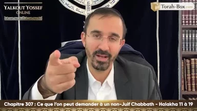 Ce que l'on peut demander à un non-juif Chabbath (Halakha 11 à 19)